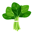 Contact Amber Garden Centre for you January Spinach