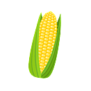 Contact Amber Garden Centre for you January Sweet Corn