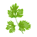 Contact Amber Garden Centre for you January Parsley