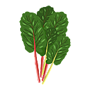 Contact Amber Garden Centre for your silverbeet plants