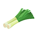 Contact Amber Garden Centre for your leeks plants