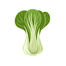 Contact Amber Garden Centre for your bok choy plants