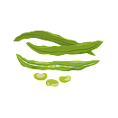 Contact Amber Garden Centre for your broadbean plants