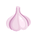 Contact Amber Garden Centre for your garlic plants