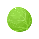 Contact Amber Garden Centre for your cabbage plants