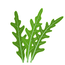 Contact Amber Garden Centre for your rocket plants