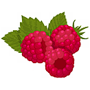 Contact Amber Garden Centre for your rasberry plants