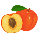 Contact Amber Garden Centre for your apricot trees