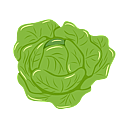 Contact Amber Garden Centre for your lettuce plants