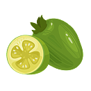 Contact Amber Garden Centre for your feijoa trees