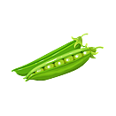 Contact Amber Garden Centre for your pea plants