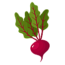 Contact Amber Garden Centre for your beetroot plants