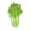 Contact Amber Garden Centre for your celery plants