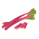 Contact Amber Garden Centre for your rhubarb plants