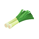 Contact Amber Garden Centre for your leek plants