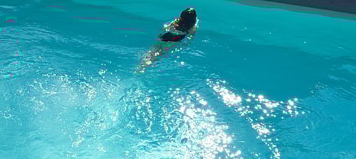 Beautiful swimming pool with swimmer coming up for a breath