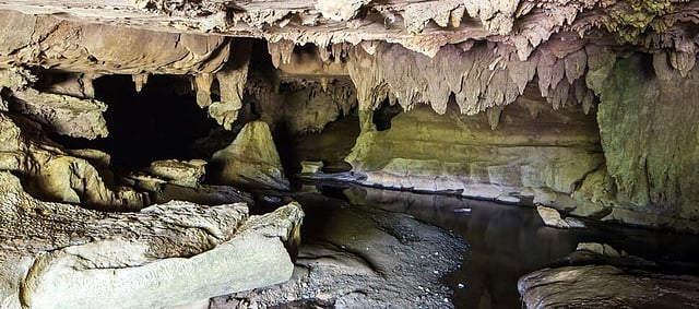 Waipu Caves - Walking track 2km one way