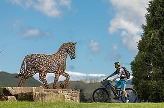 Fishers Track - Grade 2 | 27kms | 2 - 3 hours