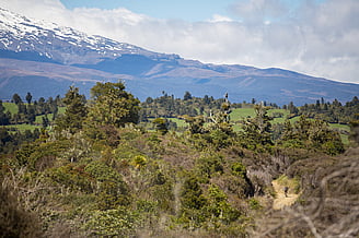 42 Traverse - The other iconic Ruapehu Ride