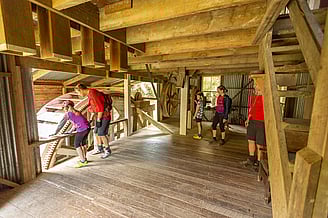 Whanganui River Road - Grade 3 | 65kms | 7 -8 hours