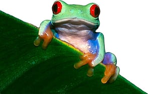 Laminex Emergency Scenario 2019