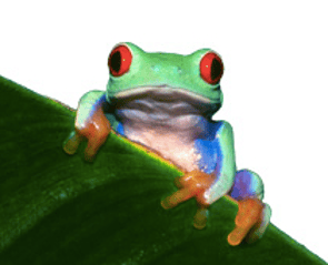 Compliance Consultancy