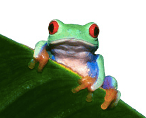 Health & Safety Consultancy