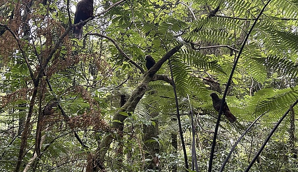 Why concern about climate change has shifted, not disappeared