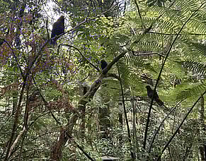 Why concern about climate change has shifted, not disappeared