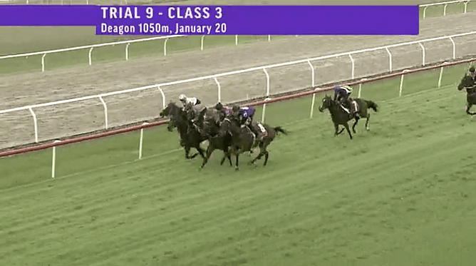Le Chocolat on home straight for the win in trial #9.