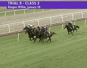 Smart Trial Wins for Le Chocolat &amp; Gaylord Signal Exciting Returns