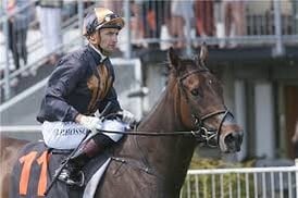 Mai Tai - Atlante x Tropical Punch