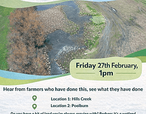 The Manuherekia Voice: Summer - Waiora Manuherekia