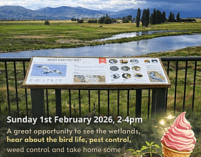 The Manuherekia Voice: Summer - Thomsons Catchment