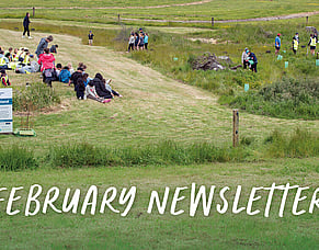 February 2026 Newsletter