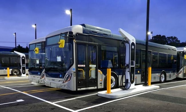 Electric Bus NZ - Wellington Extra Large Buses