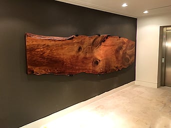Kauri wall art