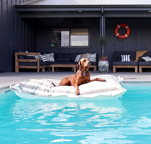 Harrison Lane content shoot