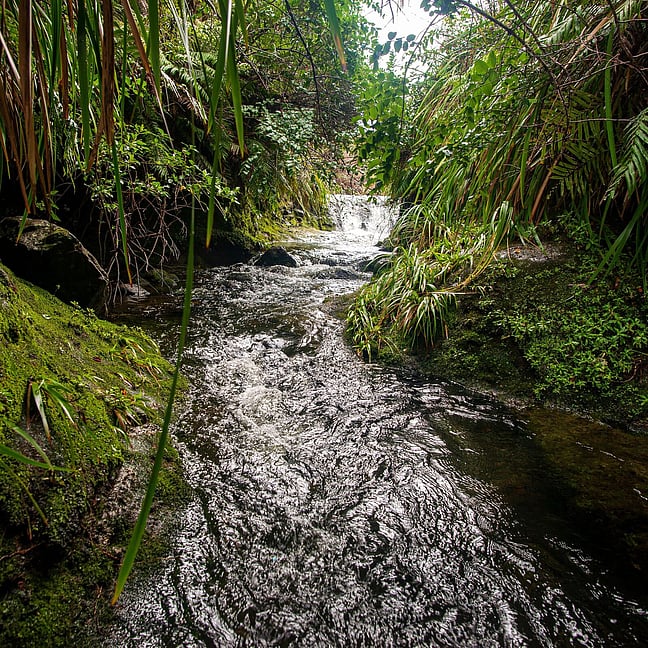 Stormwater Management: sustainable systems to manage runoff and minimise environmental impact.