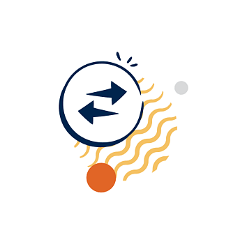 Tauranga Website Design