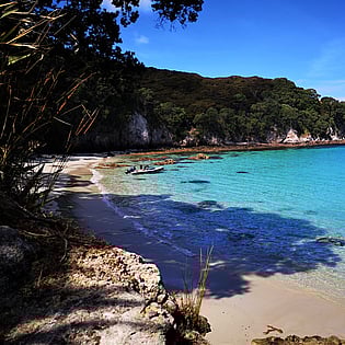Coromandel beaches