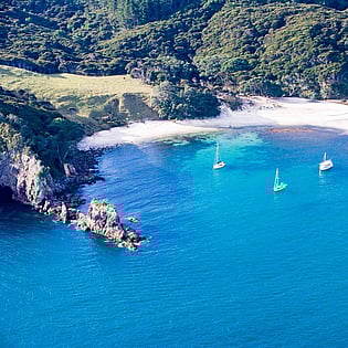 Great Mercury Island