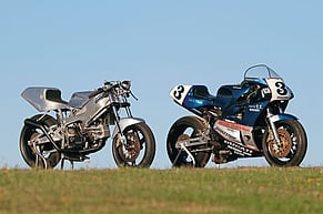 The Duke of Wellington