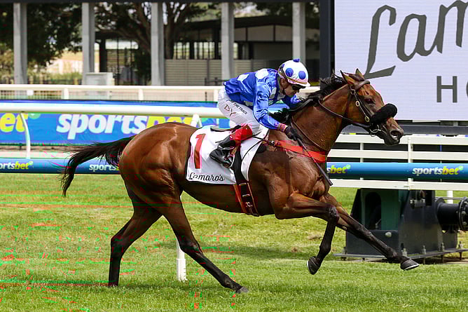 Wrote To Arataki claims her second Gr.3 Geoffrey Bellmaine Stakes (1200m) under Dean Yendall at Caulfield. - Photo: Bruno Cannatelli