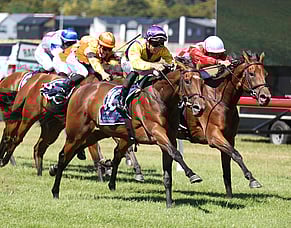 Patterson goes back-to-back in Lowland