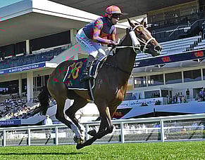 Special Sakura causes upset at Ellerslie