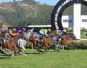 Manzor Blue upsets in Wellington Cup