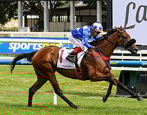 Wrote To Arataki claims second Geoffrey Bellmaine