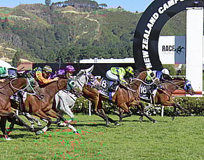 Manzor Blue upsets in Wellington Cup