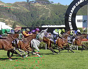 Manzor Blue upsets in Wellington Cup